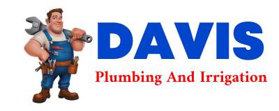 Trusted plumber in REVELO